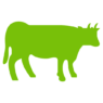 cow